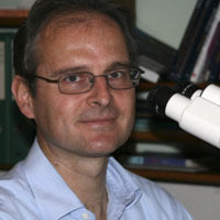 Prof. Dr. med. Luca Mazzucchelli